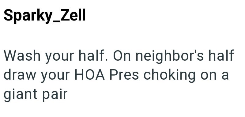 Sparky_Zell Wash your half. On neighbor's half draw your HOA Pres choking on a giant pair