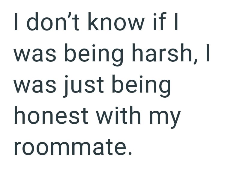 I don't know if I was being harsh, I was just being honest with my roommate.