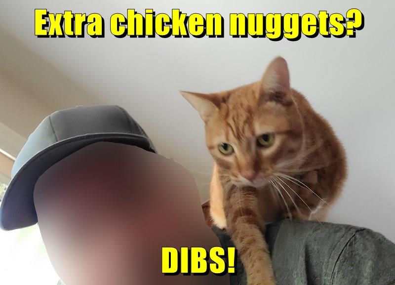 Cheezburger Image 10609607680