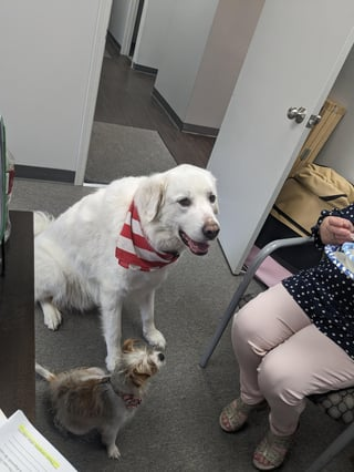 Cheezburger Image 10609620992