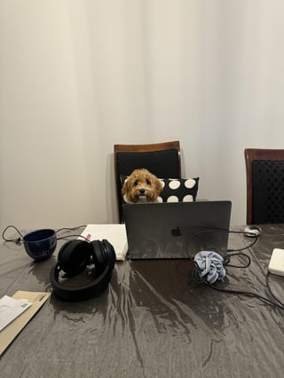 Cheezburger Image 10609621760