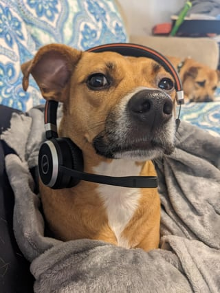 Cheezburger Image 10609622528