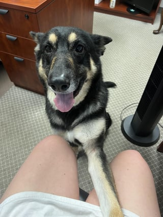 Cheezburger Image 10609623296