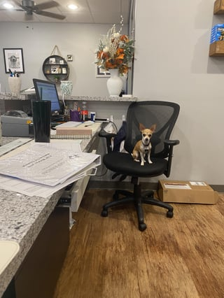 Cheezburger Image 10609624576