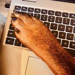 7 8 R T Y U G H J N M