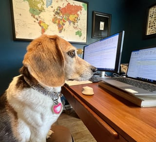 Cheezburger Image 10609625856