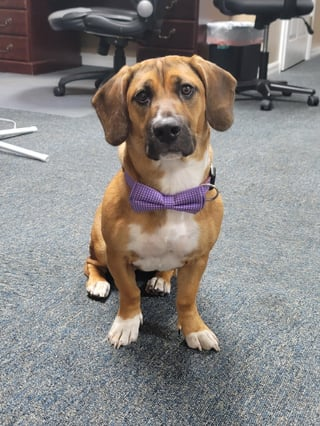 Cheezburger Image 10609626112