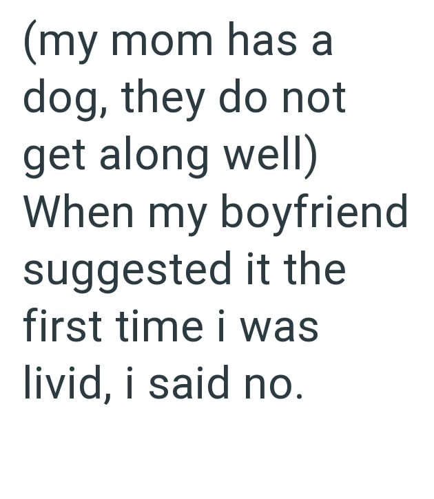 (my mom has a dog, they do not get along well) When my boyfriend suggested it the first time i was livid, i said no.