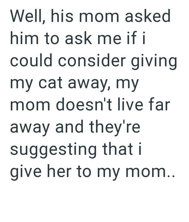 Well, his mom asked him to ask me if i could consider giving my cat away, my mom doesn't live far away and they're suggesting that i give her to my mom..