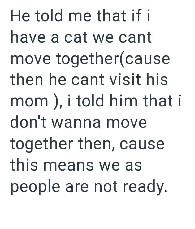 He told me that if i have a cat we cant move together(cause then he cant visit his mom), i told him that i don't wanna move together then, cause this means we as people are not ready.