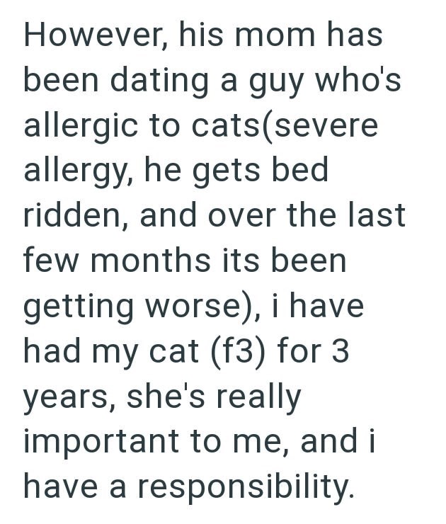 However, his mom has been dating a guy who's allergic to cats (severe allergy, he gets bed ridden, and over the last few months its been getting worse), i have had my cat (f3) for 3 years, she's really important to me, and i have a responsibility.
