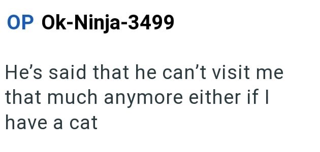 OP Ok-Ninja-3499 He's said that he can't visit me that much anymore either if I have a cat