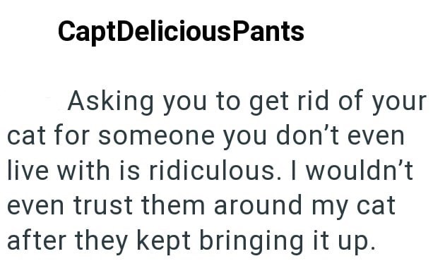 CaptDeliciousPants Asking you to get rid of your cat for someone you don't even live with is ridiculous. I wouldn't even trust them around my cat after they kept bringing it up.