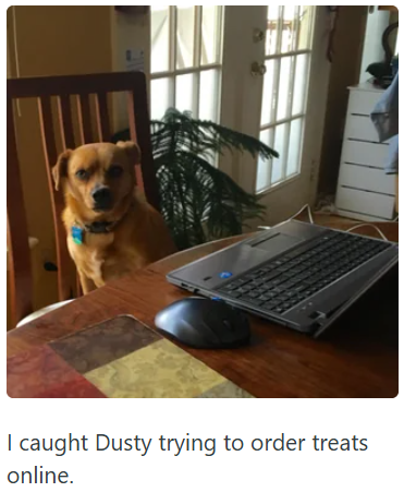I caught Dusty trying to order treats online.
