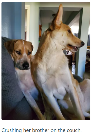 Crushing her brother on the couch.