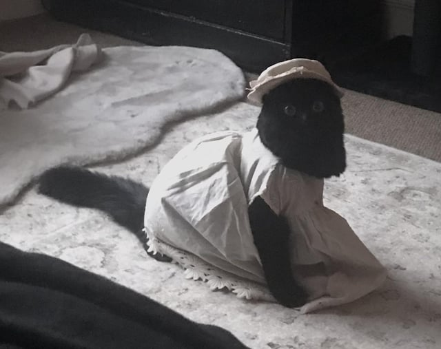 Cheezburger Image 10609639680