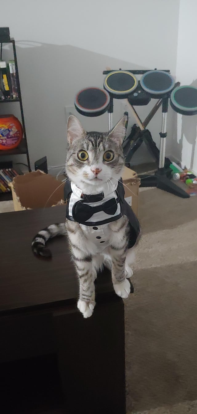 Cheezburger Image 10609640704