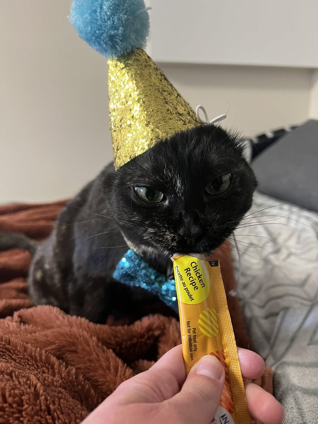 Chicken Recipe Recette au poulet Pet treat only Not for individual sale. IN