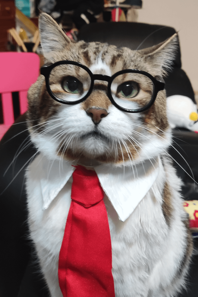 Cheezburger Image 10609643776