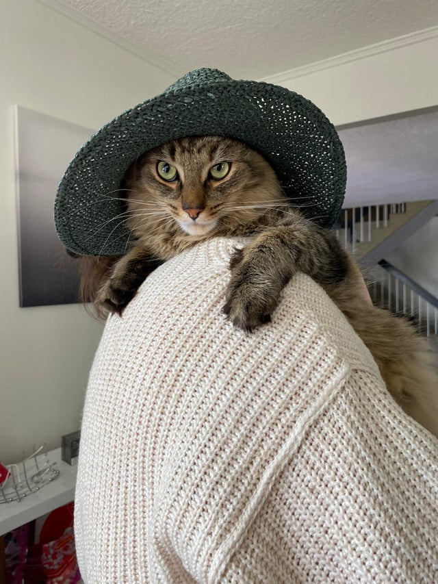 Cheezburger Image 10609644800