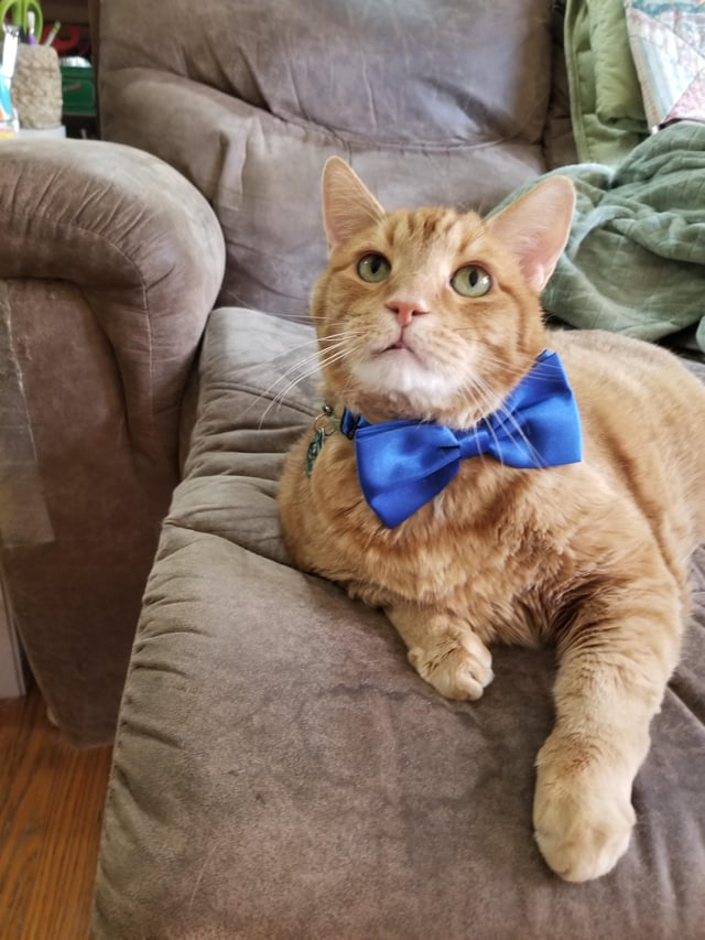 Cheezburger Image 10609645824