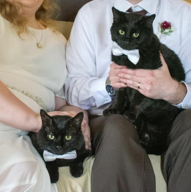 Cheezburger Image 10609646080