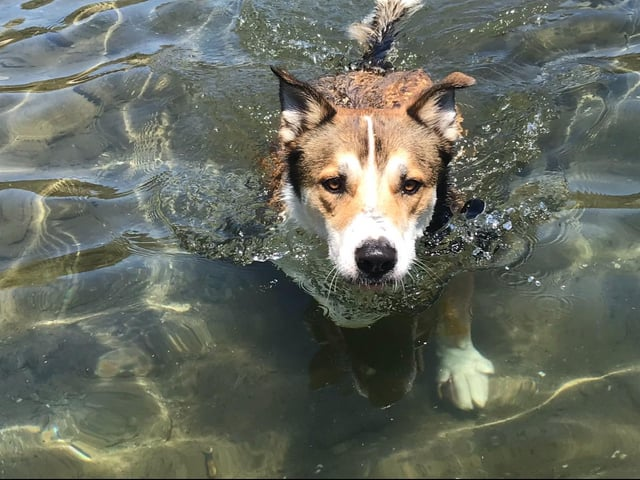 Cheezburger Image 10609648640