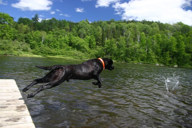 Cheezburger Image 10609648896