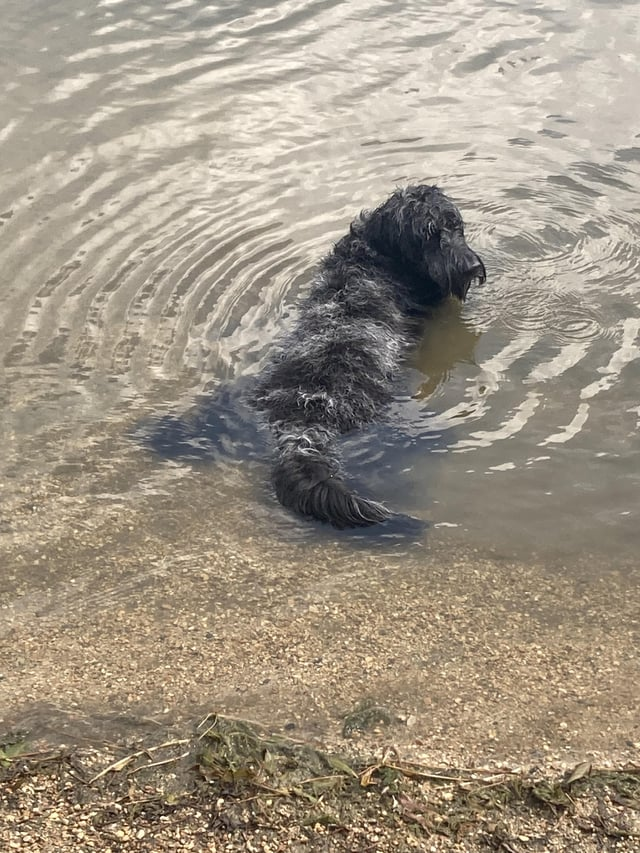 Cheezburger Image 10609649152