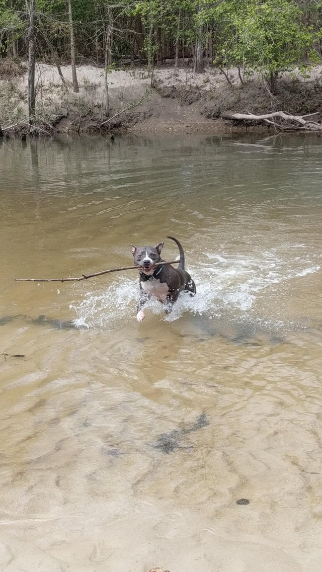 Cheezburger Image 10609649408