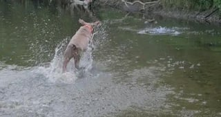 Cheezburger Image 10609649920