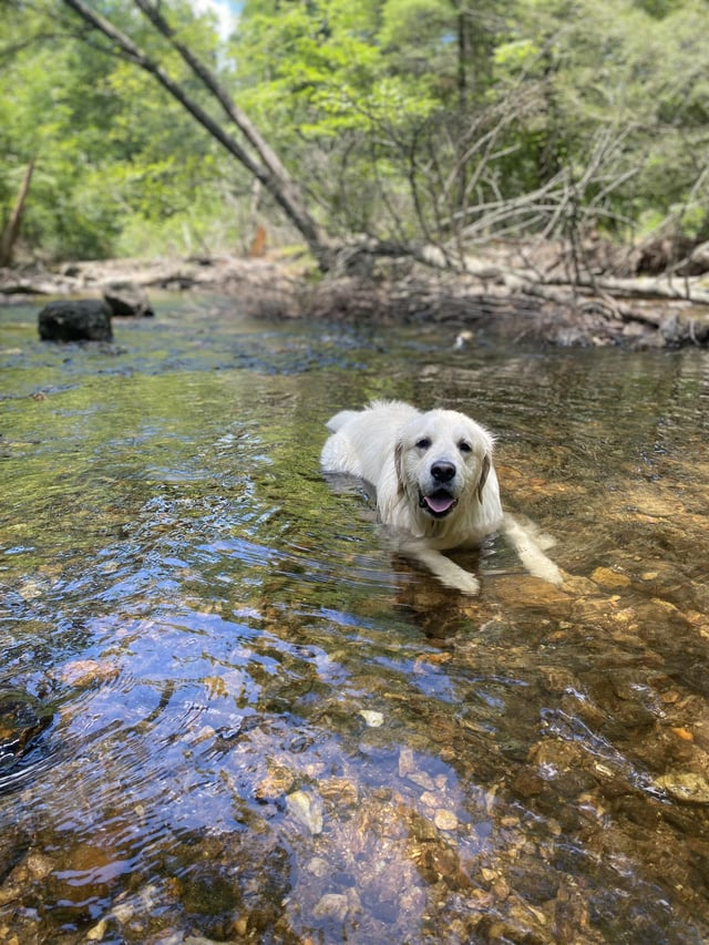 Cheezburger Image 10609650176