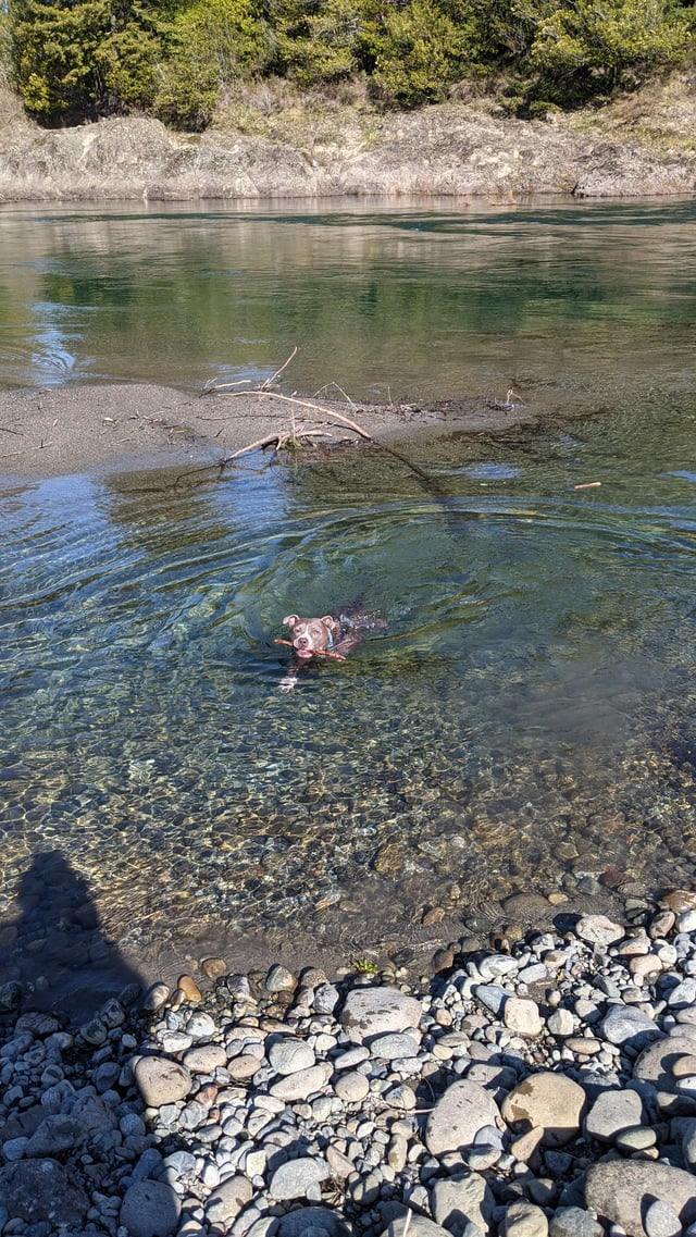 Cheezburger Image 10609650432