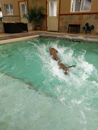 Cheezburger Image 10609651200