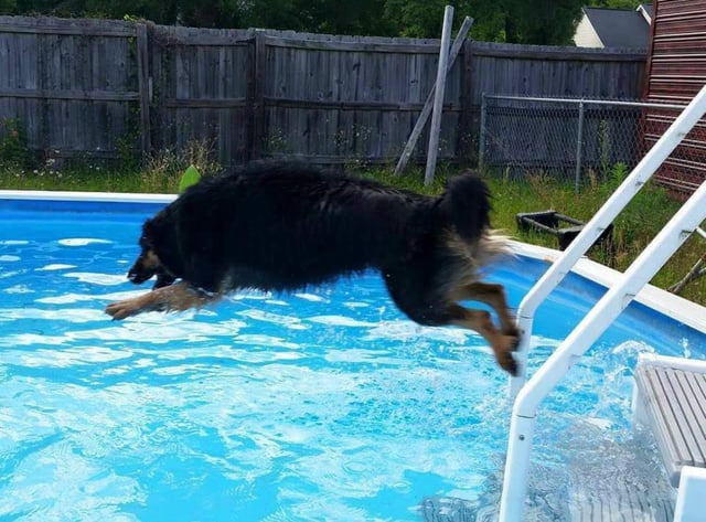 Cheezburger Image 10609651712