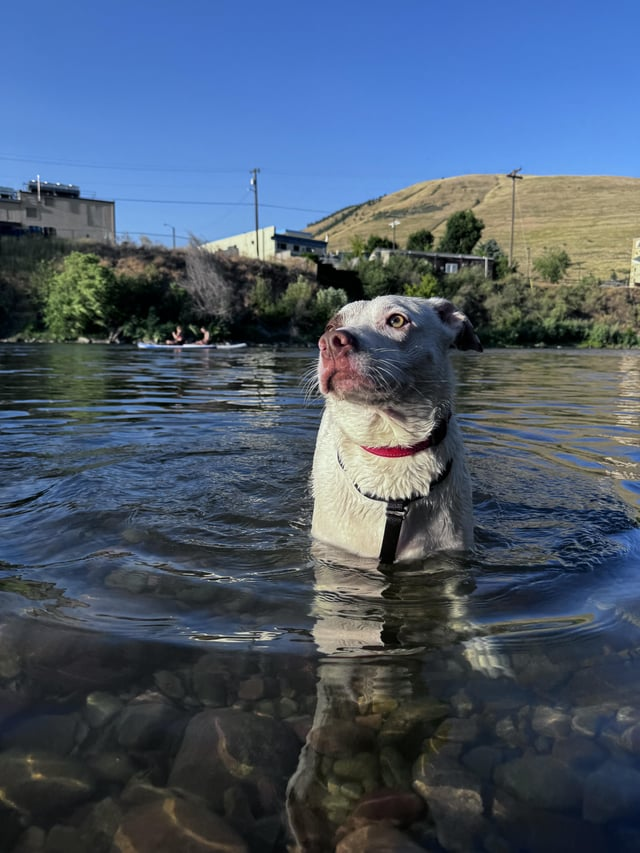 Cheezburger Image 10609651968