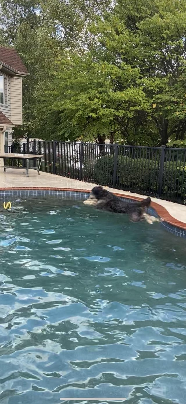 Cheezburger Image 10609652992