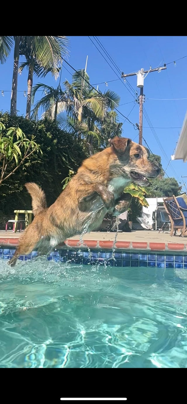 Cheezburger Image 10609653504