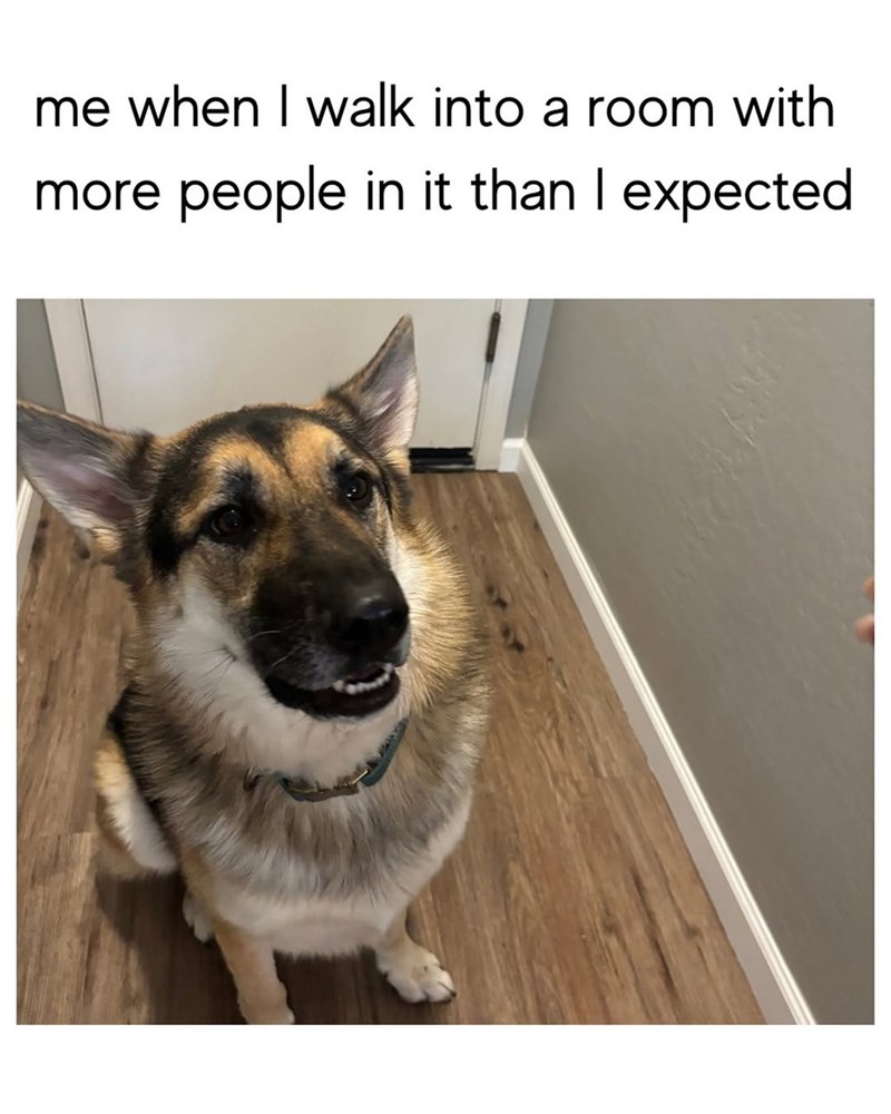 me when I walk into a room with more people in it than I expected