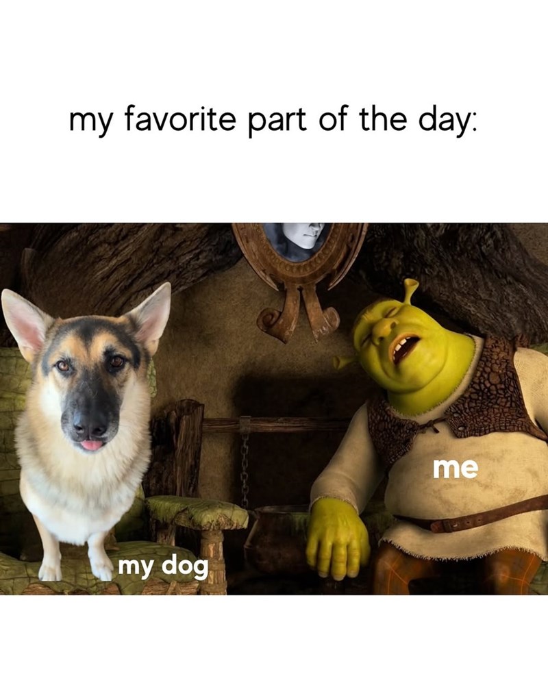 my favorite part of the day: my dog me