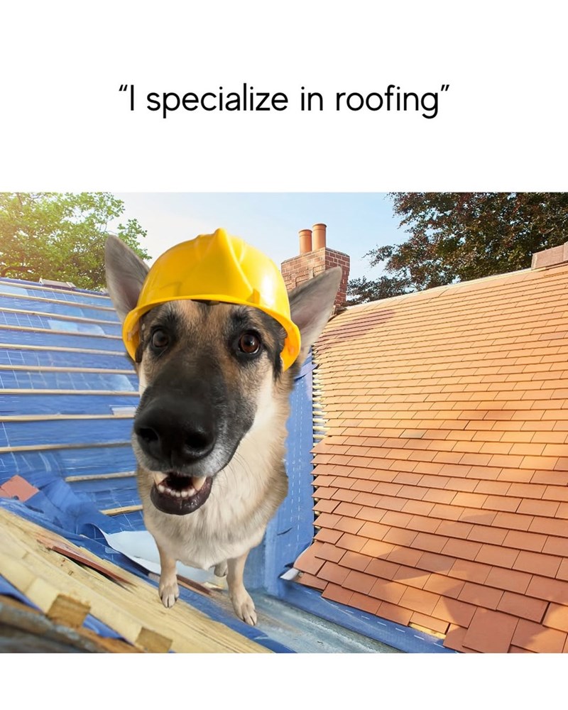 "I specialize in roofing"