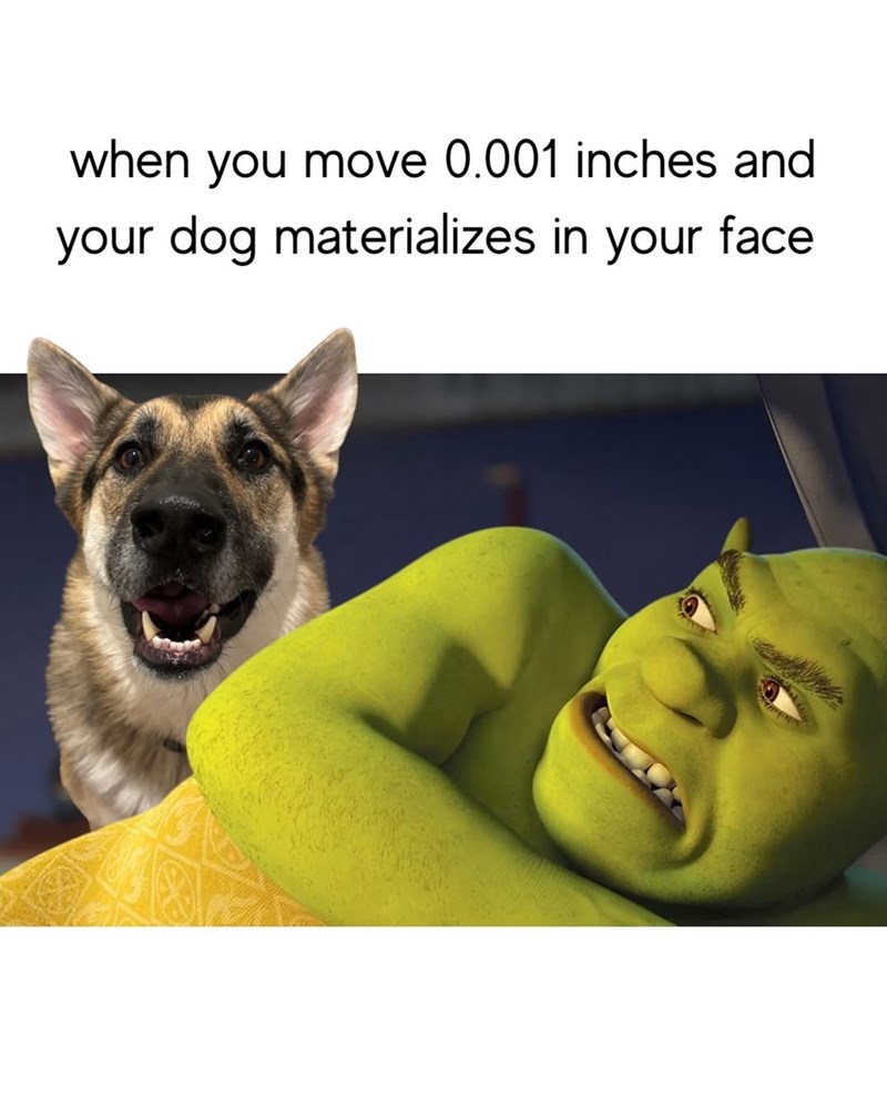 when you move 0.001 inches and your dog materializes in your face