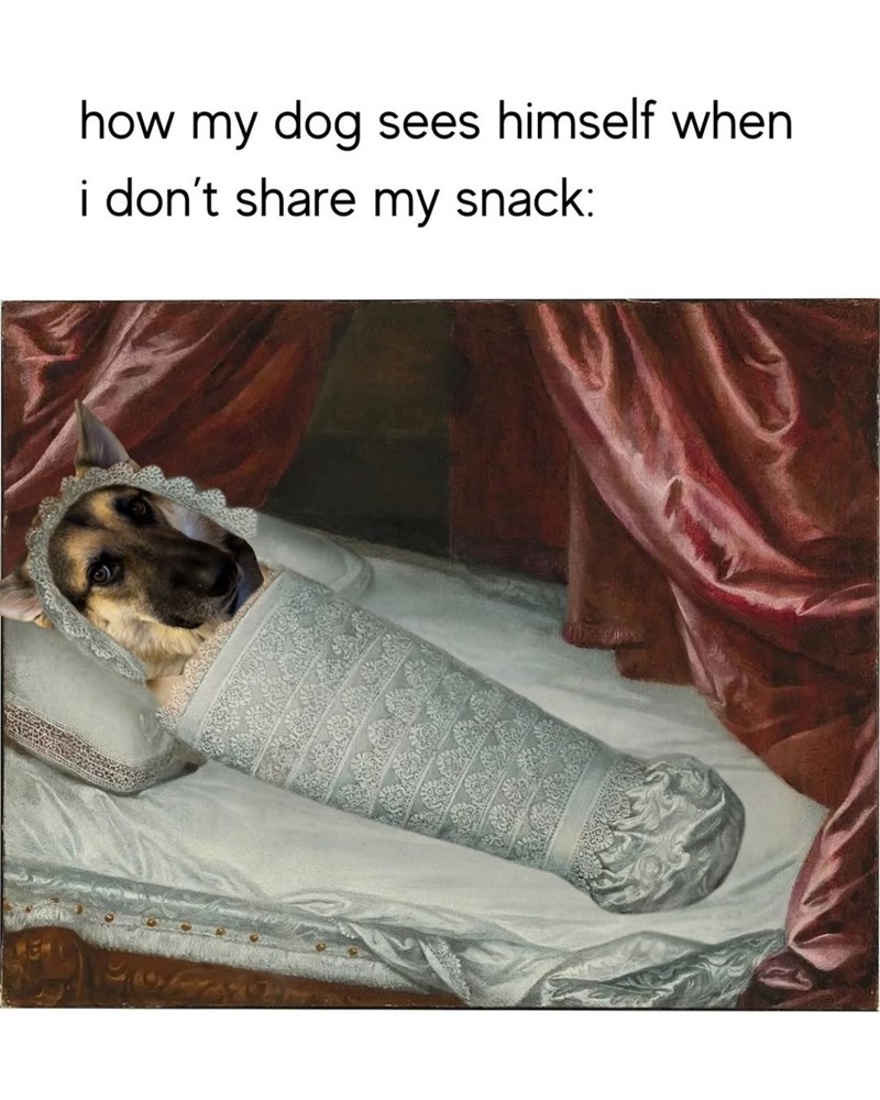 how my dog sees himself when i don't share my snack: