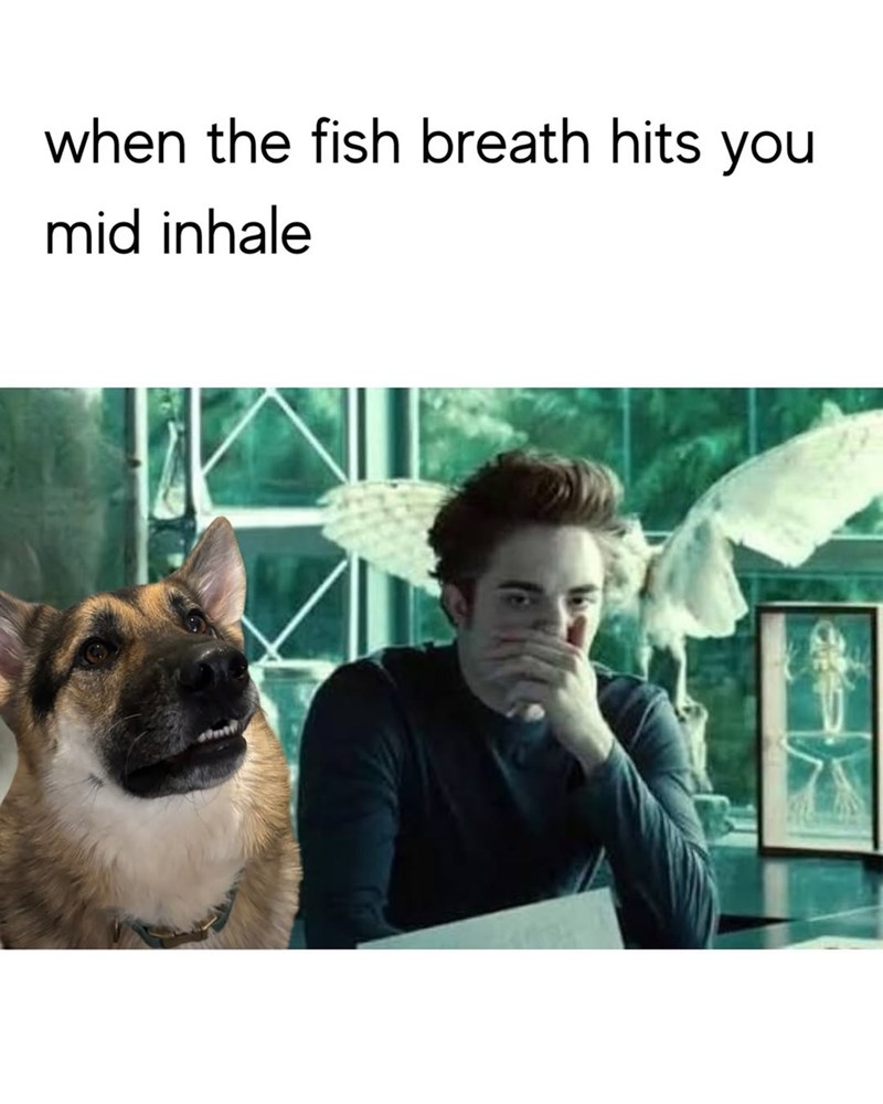 when the fish breath hits you mid inhale