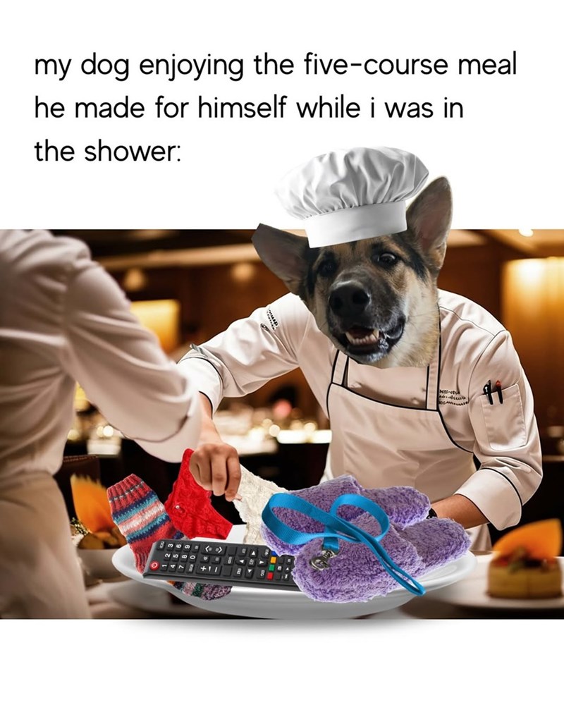 my dog enjoying the five-course meal he made for himself while i was in the shower: 2500 Net-ees