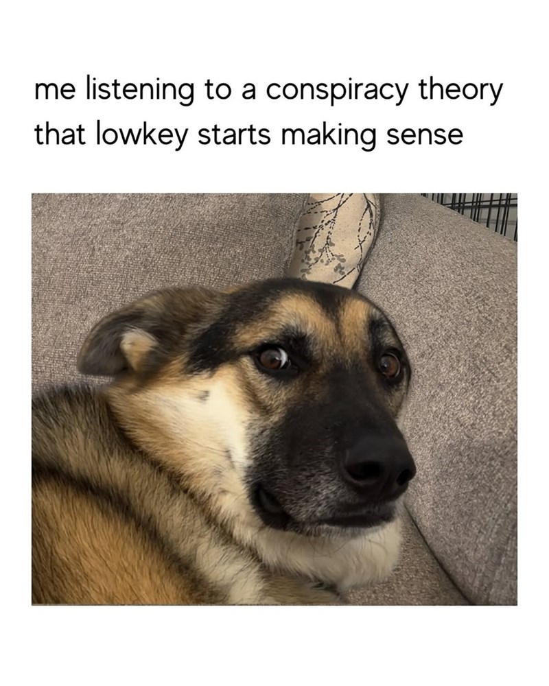 me listening to a conspiracy theory that lowkey starts making sense