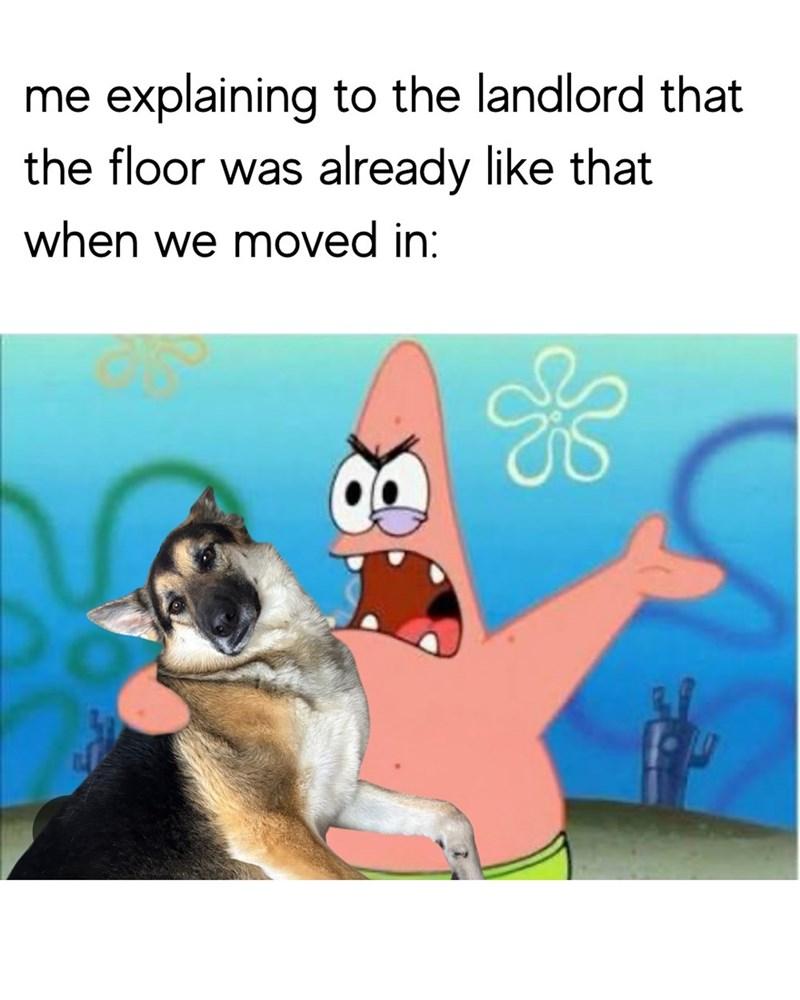 me explaining to the landlord that the floor was already like that when we moved in: