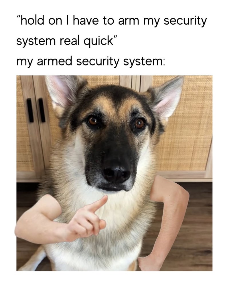 "hold on I have to arm my security system real quick" my armed security system: