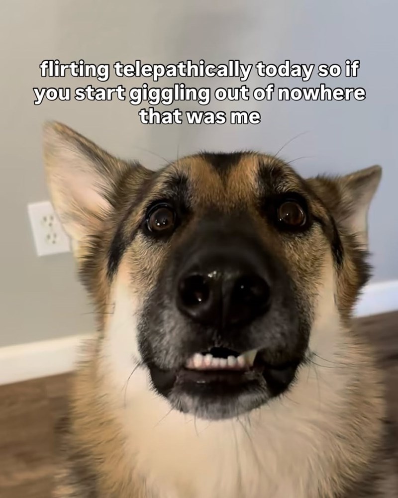 flirting telepathically today so if you start giggling out of nowhere that was me
