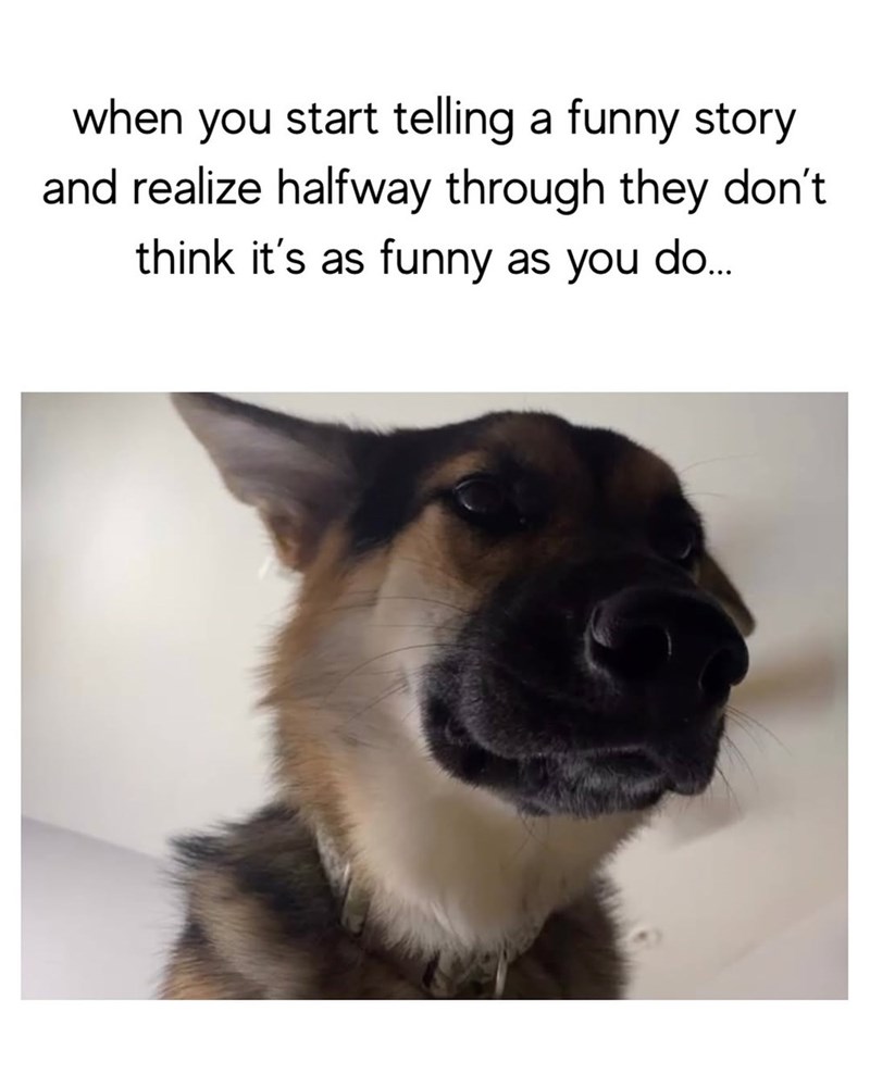 when you start telling a funny story and realize halfway through they don't think it's as funny as you do...